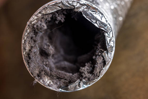 Best Air Duct Mold Removal  in Medford Lakes, NJ